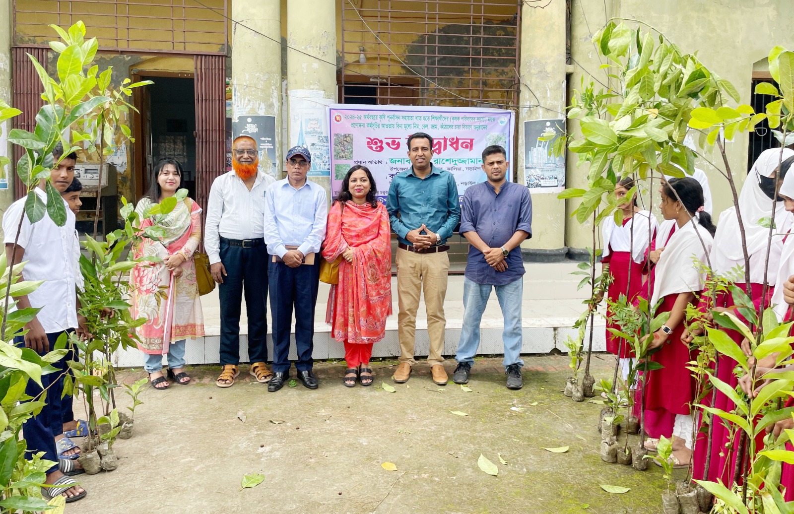 কালিয়ায় উন্নত জাতের ফলদ ও বনজ চারা বিতরণ।