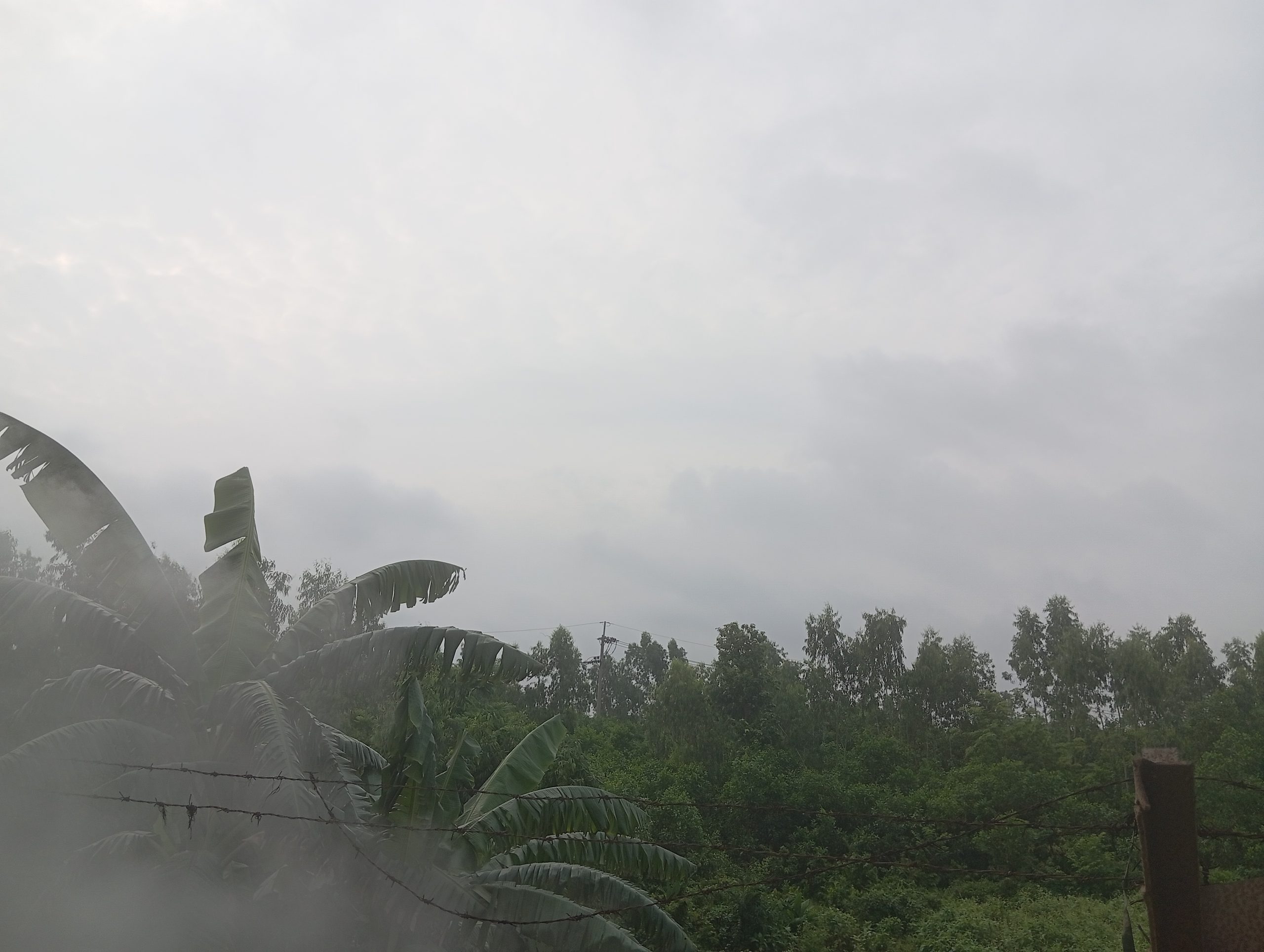 সময় ও প্রকৃতির মিলনক্ষণে নতুন অঙ্গীকার